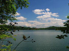 GMINA SOLINA
