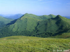 GMINA SOLINA