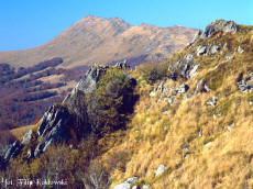 GMINA SOLINA