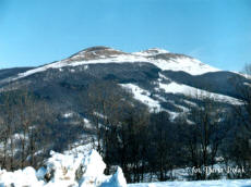 GMINA SOLINA
